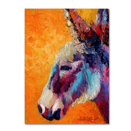 Trademark Fine Art Marion Rose 'Burro II 1' Canvas Art, 35x47 ALI10558-C3547GG